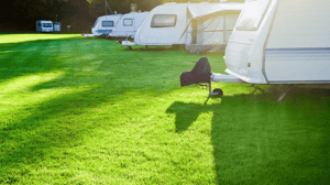 Camping_hjoerring_Dyrskue
