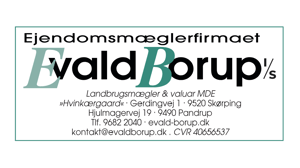 Logo Evald Borup