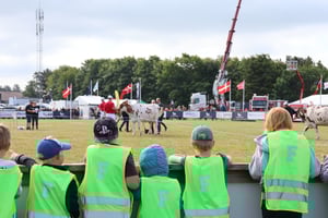 Skoleklasse Hjoerring dyrskue